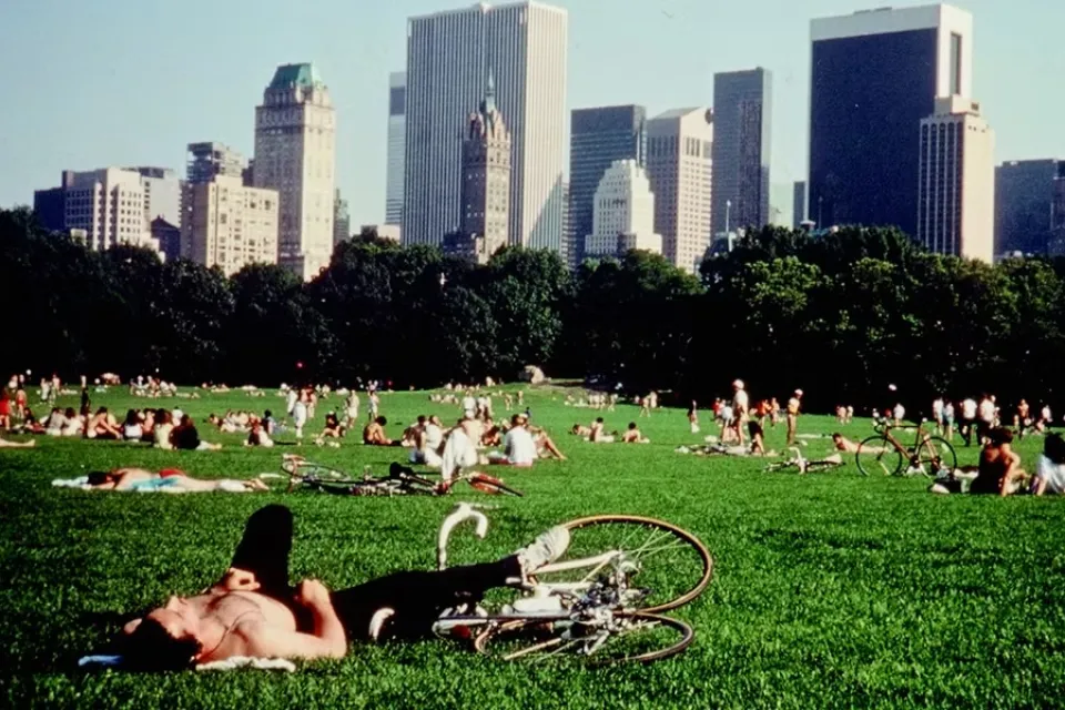 Screenshot of Central Park lawn full of people lying down and hanging out on a sunny day from Frederick Wiseman film.